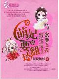 宠妻上天,萌妃要翻
